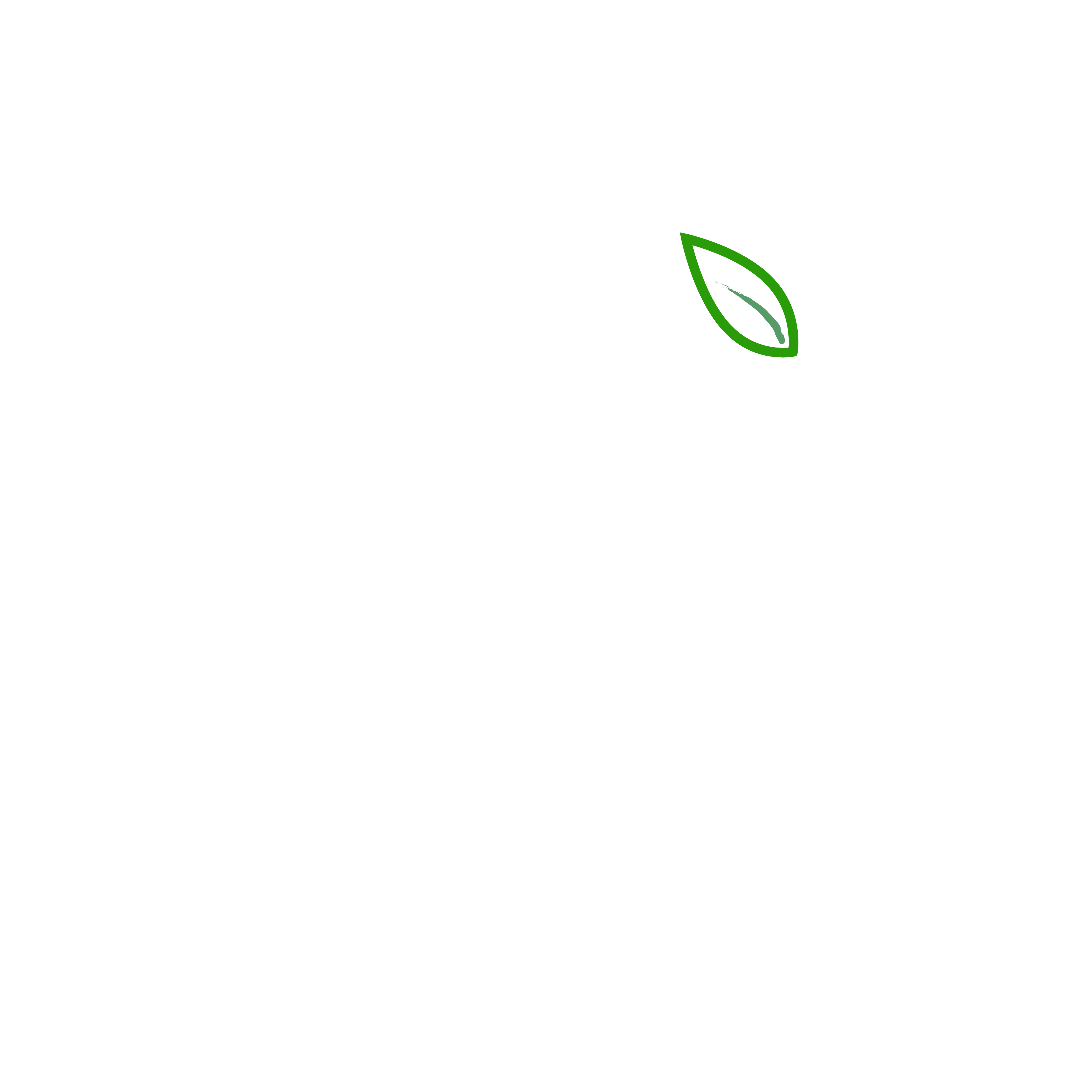 카페 나성리 로고